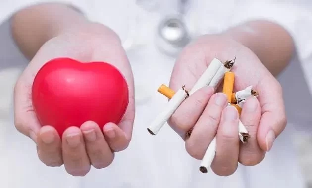 How Smoking Affects Your Heart and Blood Vessels Over Time