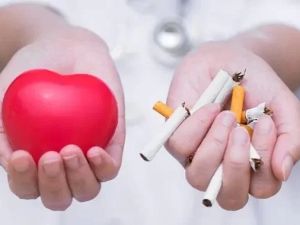 How Smoking Affects Your Heart and Blood Vessels Over Time