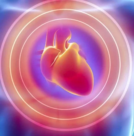 The Importance of Early Cholesterol Screening for Long-Term Heart Health