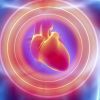 The Importance of Early Cholesterol Screening for Long-Term Heart Health