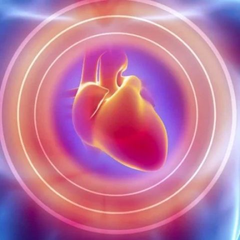 The Importance of Early Cholesterol Screening for Long-Term Heart Health