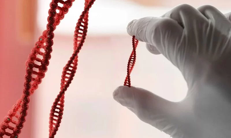 Can High Cholesterol Be Genetic? Understanding the Connection