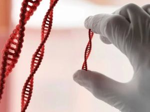 Can High Cholesterol Be Genetic? Understanding the Connection