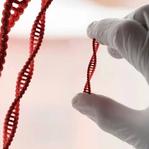 Can High Cholesterol Be Genetic? Understanding the Connection