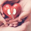 The Connection Between Kidney Disease and Heart Problems: Understanding the Link